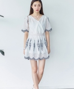 韓國V領刺繡裸空連衣裙